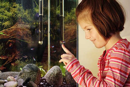 Mädchen am Aquarium